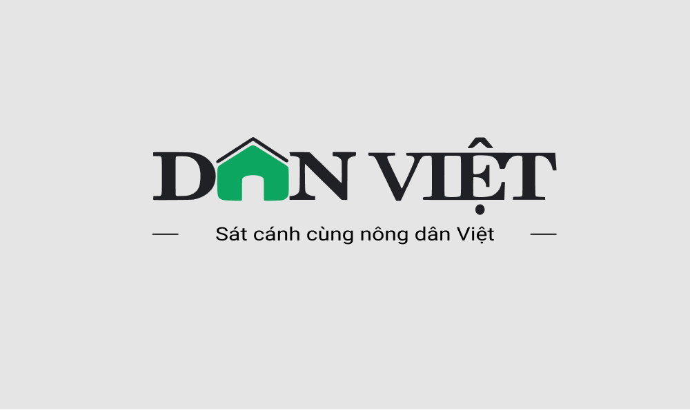 danviet.vn