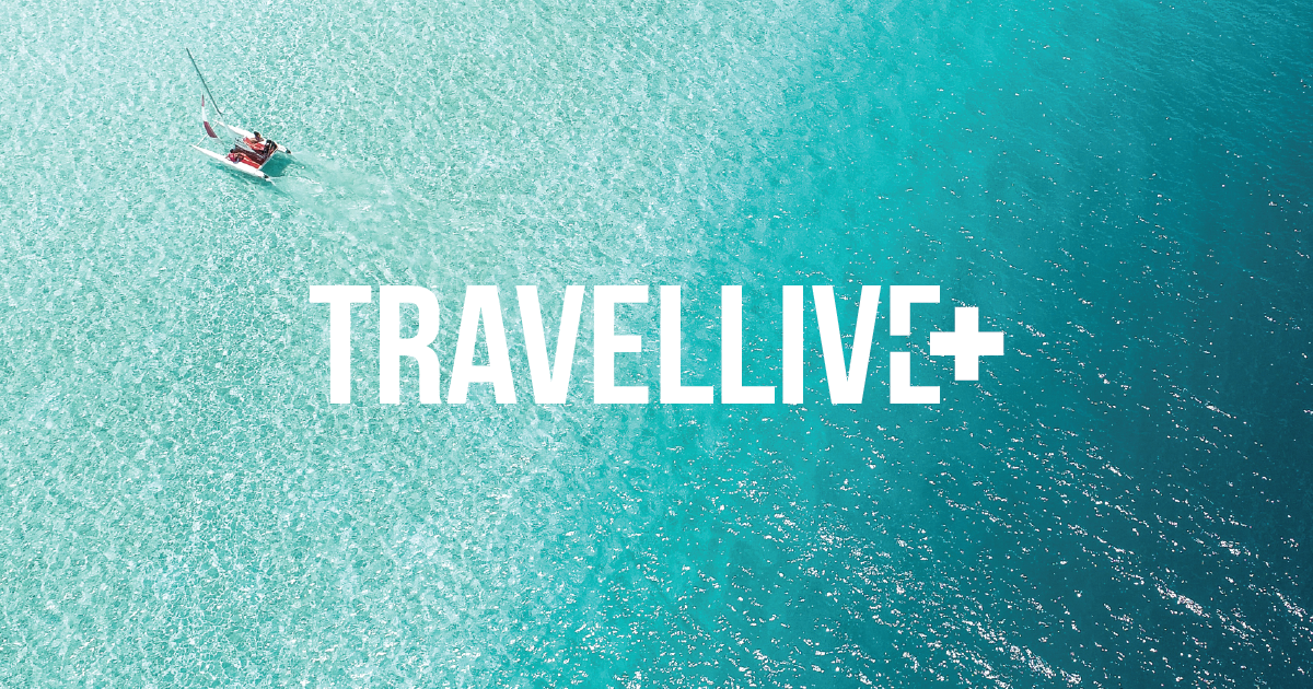 vntravellive.com logo